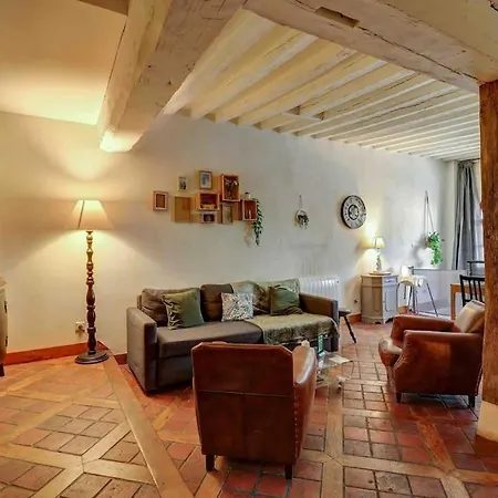 L'authentique I Centre Historique Charme Colombage Apartment *